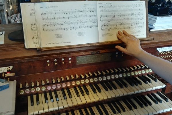 Pelerinajul la Maria Radna – 2017