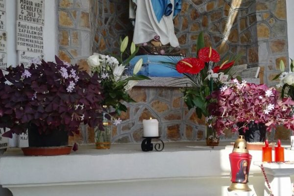 Pelerinajul la Maria Radna – 2017