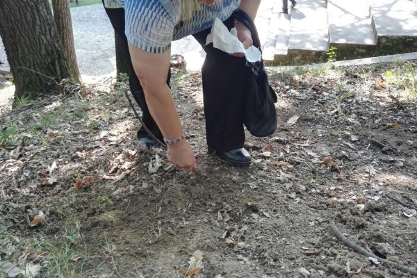 Pelerinajul la Maria Radna – 2017